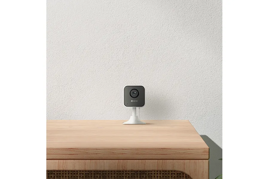 Motion detection alerts